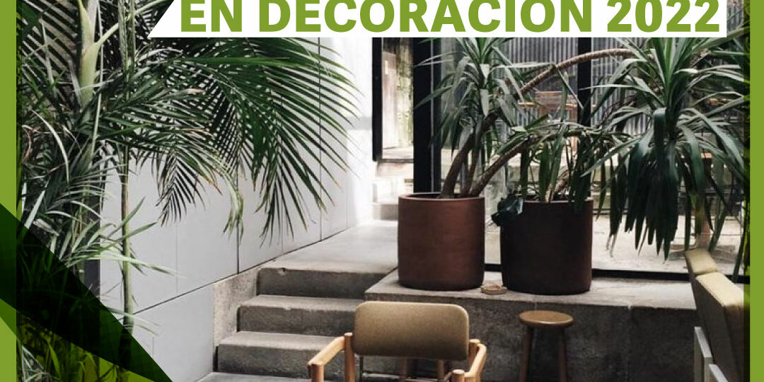 tendencias-en-decoracion-2022 Tendencias en decoracíon