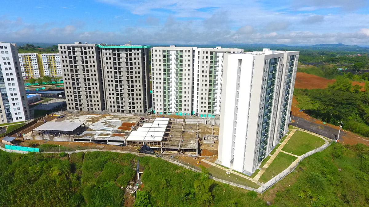 palo-verde-02-16-06-2022