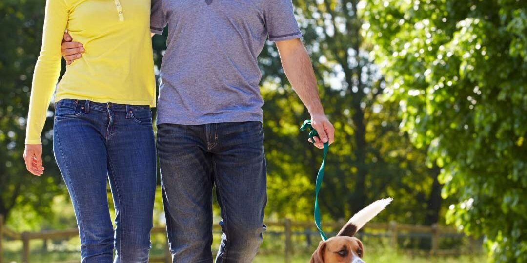 los_perros_son_todo_amor