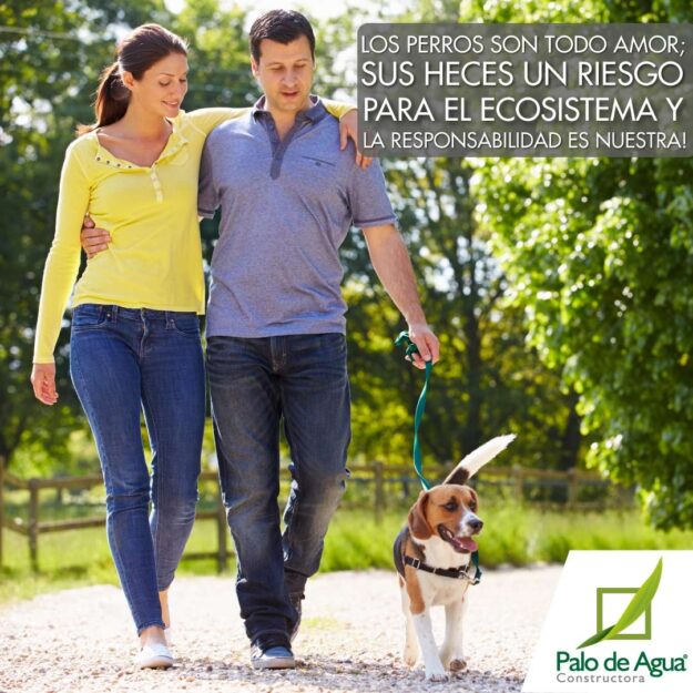 los_perros_son_todo_amor