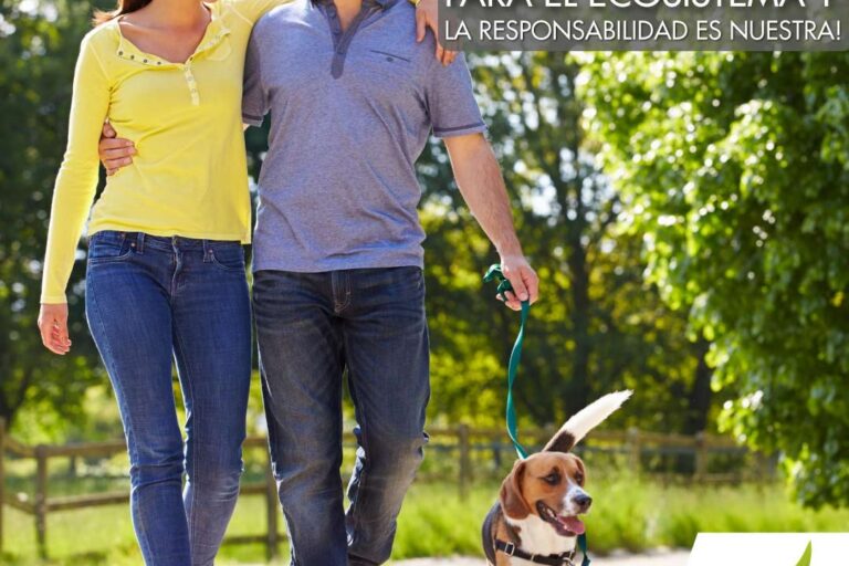 los_perros_son_todo_amor