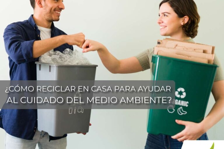 Cuidado_del_medio_ambiente Cómo reciclar en casa para ayudar al cuidado del medio ambiente
